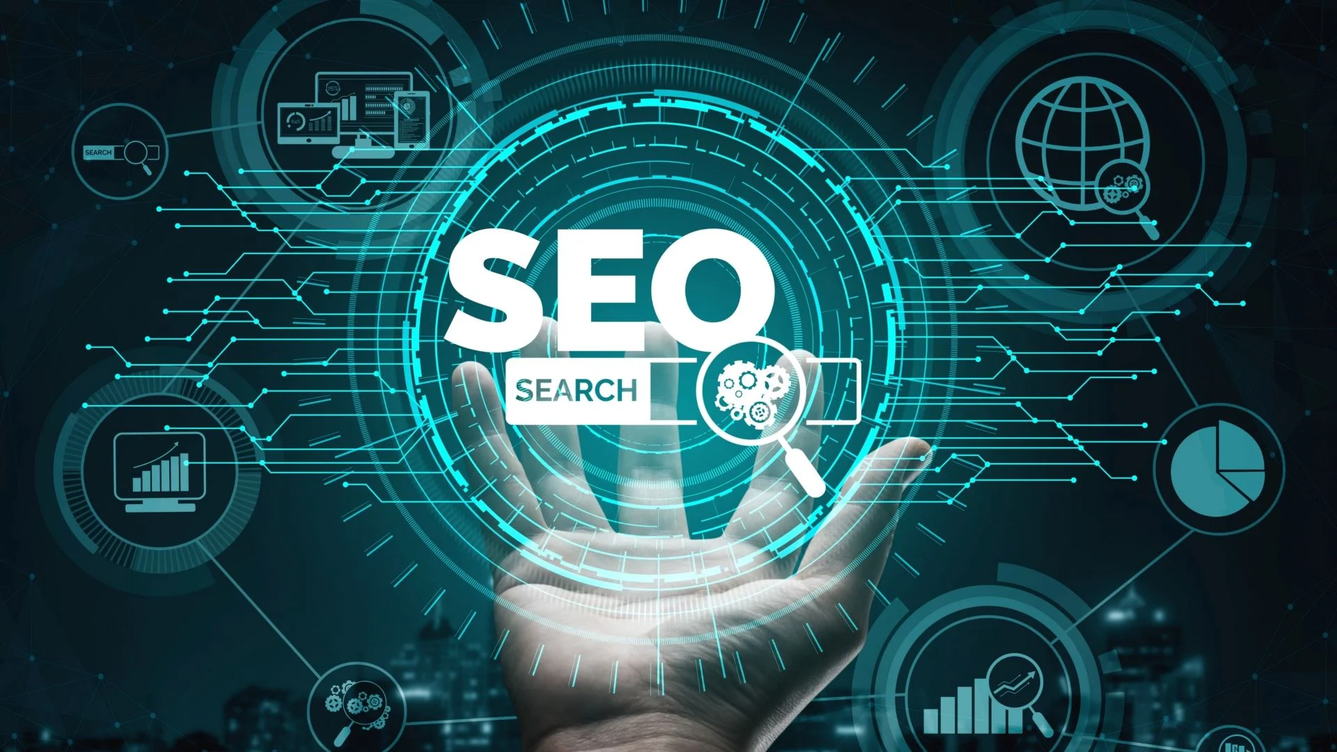 digital marketing expert in wayanad